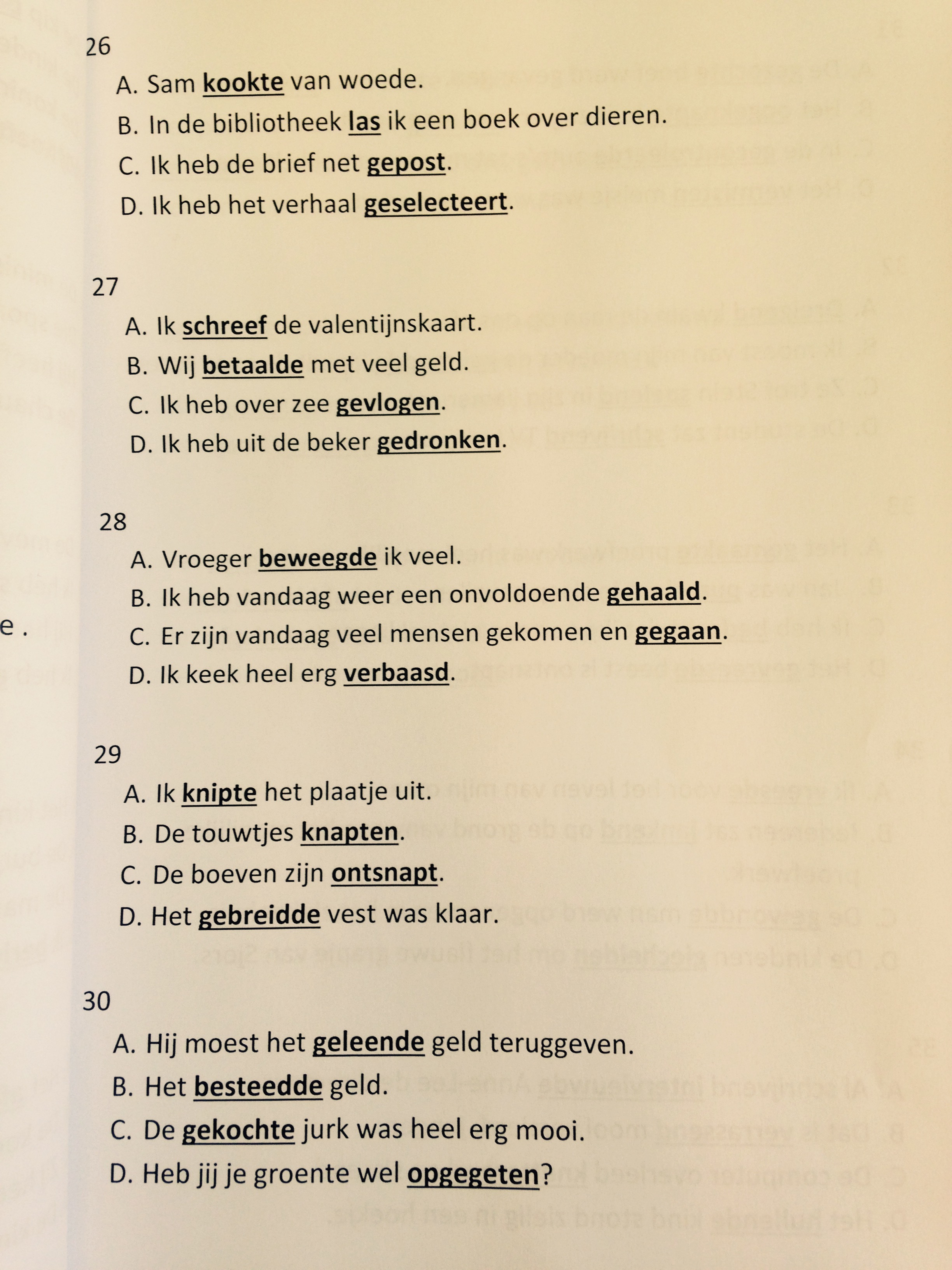 Naast carnaval ook CITO op het Wespennest